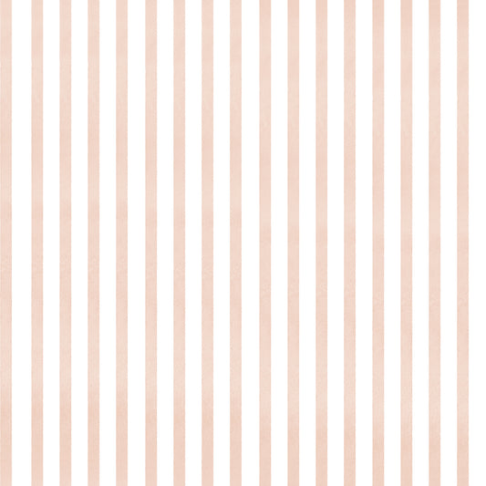 Stripes in Pink + White