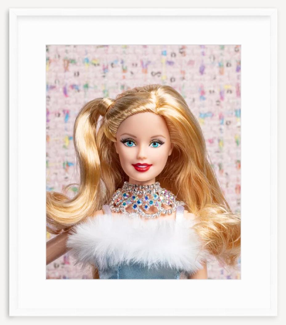 Winter Wonderland Framed Barbie