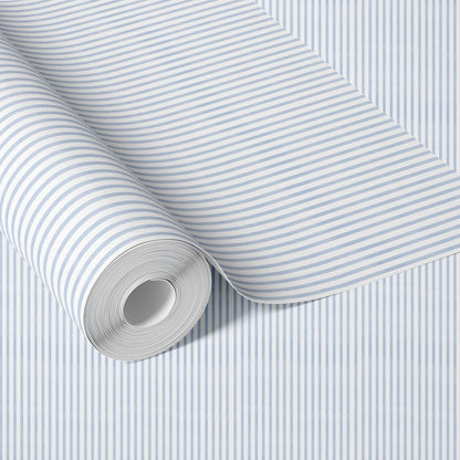 Stripes in Blue + White