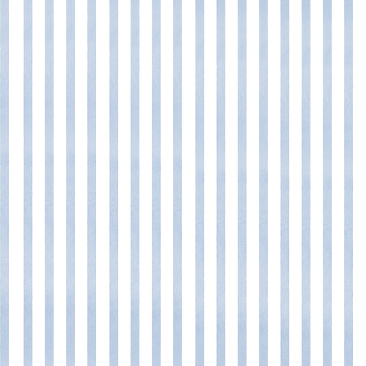 Stripes in Blue + White