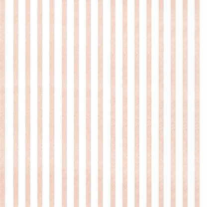 Stripes in Pink + White